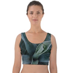 The Agave Heart Under The Light Velvet Crop Top by DimitriosArt