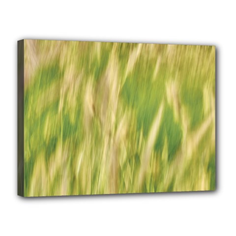 Golden Grass Abstract Canvas 16  X 12  (stretched) by DimitriosArt