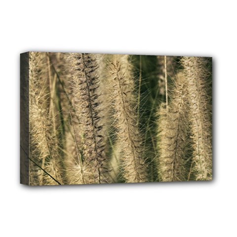 Fountain Grass Under The Sun Deluxe Canvas 18  X 12  (stretched) by DimitriosArt