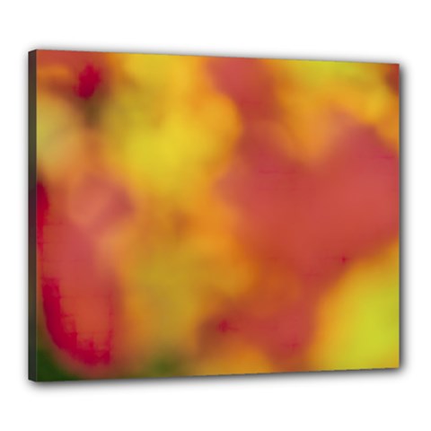 Flower Abstract Canvas 24  X 20  (stretched)