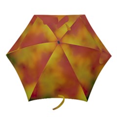 Flower Abstract Mini Folding Umbrellas by DimitriosArt