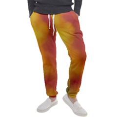 Flower Abstract Men s Jogger Sweatpants by DimitriosArt