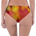 Flower Abstract Reversible Classic Bikini Bottoms View2