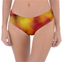 Flower Abstract Reversible Classic Bikini Bottoms View3