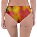 Flower Abstract Reversible Classic Bikini Bottoms View4