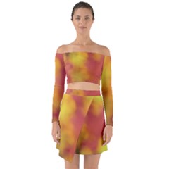 Flower Abstract Off Shoulder Top With Skirt Set by DimitriosArt