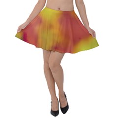 Flower Abstract Velvet Skater Skirt