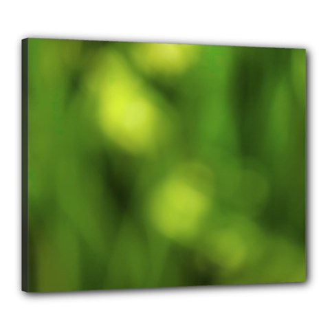 Green Vibrant Abstract No3 Canvas 24  X 20  (stretched) by DimitriosArt