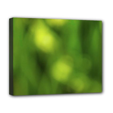 Green Vibrant Abstract No3 Deluxe Canvas 20  X 16  (stretched) by DimitriosArt