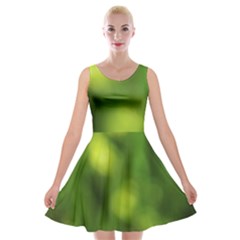 Green Vibrant Abstract No3 Velvet Skater Dress by DimitriosArt