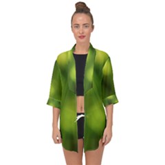 Green Vibrant Abstract No3 Open Front Chiffon Kimono by DimitriosArt