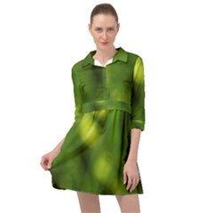 Green Vibrant Abstract No3 Mini Skater Shirt Dress by DimitriosArt