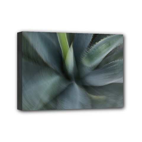 The Agave Heart In Motion Mini Canvas 7  X 5  (stretched) by DimitriosArt