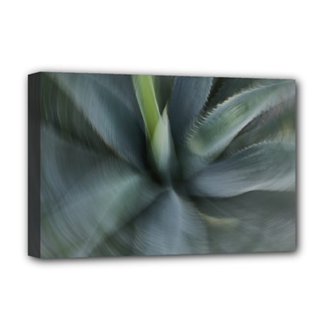 The Agave Heart In Motion Deluxe Canvas 18  X 12  (stretched) by DimitriosArt