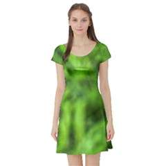 Green Abstract Stars Short Sleeve Skater Dress by DimitriosArt