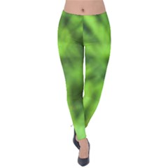 Green Abstract Stars Velvet Leggings by DimitriosArt