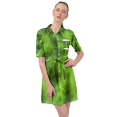 Green Abstract Stars Belted Shirt Dress by DimitriosArt