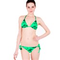 Light Reflections Abstract No10 Green Classic Bikini Set View3