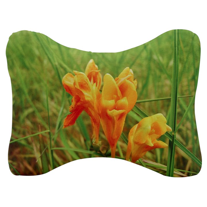 Orange On The Green Velour Seat Head Rest Cushion