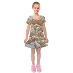 Sea-shells Bg Kids  Short Sleeve Velvet Dress by SomethingForEveryone