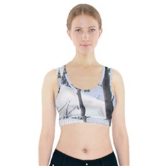 Winter Forest Sports Bra With Pocket