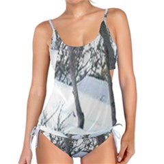 Winter Forest Tankini Set