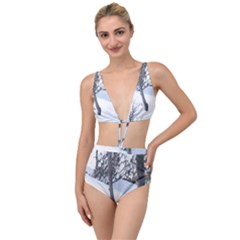 Winter Forest Tied Up Two Piece Swimsuit