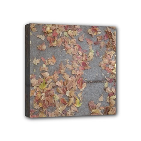 Sidewalk Leaves Mini Canvas 4  X 4  (stretched) by SomethingForEveryone