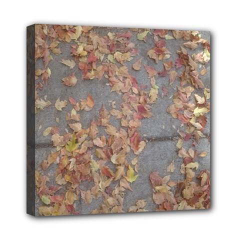 Sidewalk Leaves Mini Canvas 8  X 8  (stretched) by SomethingForEveryone