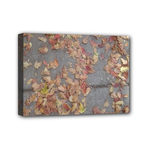 Sidewalk Leaves Mini Canvas 7  X 5  (stretched) by SomethingForEveryone