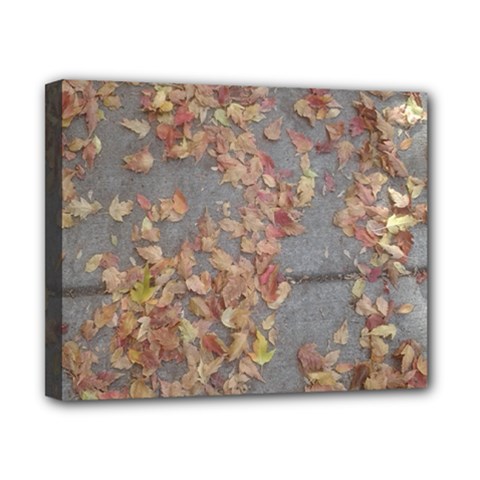 Sidewalk Leaves Canvas 10  X 8  (stretched) by SomethingForEveryone