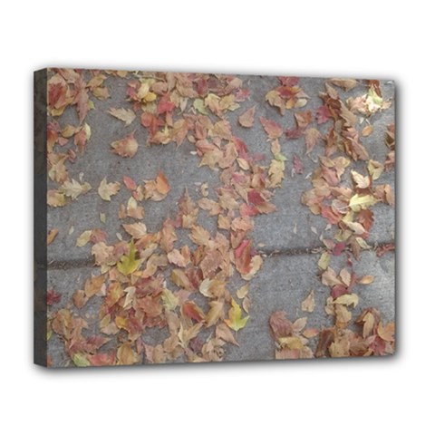 Sidewalk Leaves Canvas 14  X 11  (stretched) by SomethingForEveryone