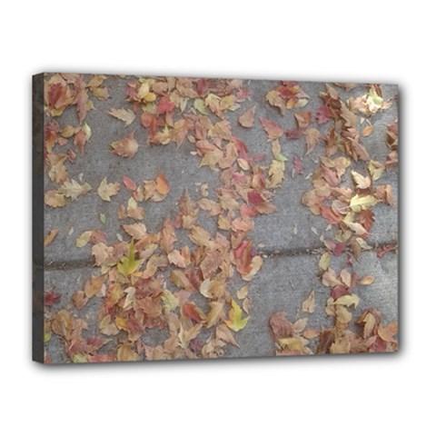 Sidewalk Leaves Canvas 16  X 12  (stretched) by SomethingForEveryone