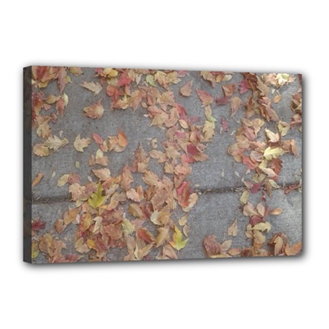 Sidewalk Leaves Canvas 18  X 12  (stretched) by SomethingForEveryone