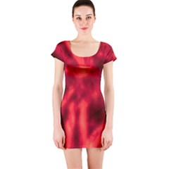 Cadmium Red Abstract Stars Short Sleeve Bodycon Dress by DimitriosArt