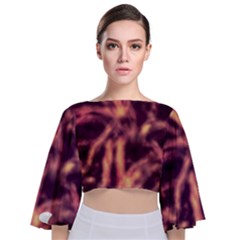 Topaz  Abstract Stars Tie Back Butterfly Sleeve Chiffon Top by DimitriosArt