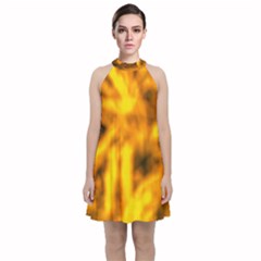 Golden Abstract Stars Velvet Halter Neckline Dress  by DimitriosArt