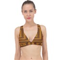 Gradient Classic Banded Bikini Top View1