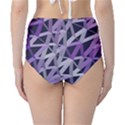 3d Lovely Geo Lines  Iv Classic High-Waist Bikini Bottoms View2