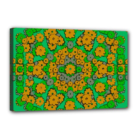 Stars Of Decorative Colorful And Peaceful  Flowers Canvas 18  X 12  (stretched) by pepitasart