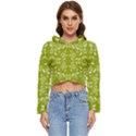 Floral folk damask pattern  Women s Lightweight Cropped Hoodie View1