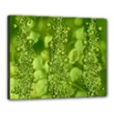 Green Fresh  Lilies Of The Valley The Return Of Happiness So Decorative Canvas 20  x 16  (Stretched) View1