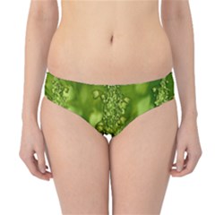 Green Fresh  Lilies Of The Valley The Return Of Happiness So Decorative Hipster Bikini Bottoms by pepitasart