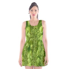 Green Fresh  Lilies Of The Valley The Return Of Happiness So Decorative Scoop Neck Skater Dress by pepitasart