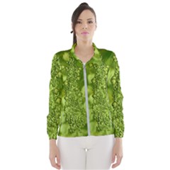 Green Fresh  Lilies Of The Valley The Return Of Happiness So Decorative Women s Windbreaker by pepitasart