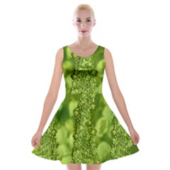 Green Fresh  Lilies Of The Valley The Return Of Happiness So Decorative Velvet Skater Dress by pepitasart