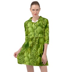 Green Fresh  Lilies Of The Valley The Return Of Happiness So Decorative Mini Skater Shirt Dress