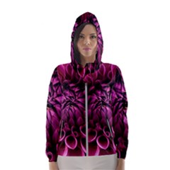 Dahlia-flower-purple-dahlia-petals Women s Hooded Windbreaker