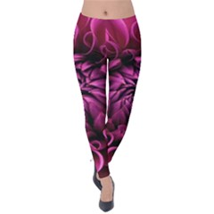 Dahlia-flower-purple-dahlia-petals Velvet Leggings