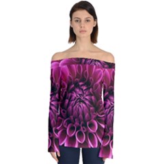 Dahlia-flower-purple-dahlia-petals Off Shoulder Long Sleeve Top by Sapixe